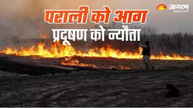 पराली जलाई तो खैर नहीं! प्रशासन की पहल पर 30 समितियों का गठन, गांव-गांव रखी जाएगी नजर

